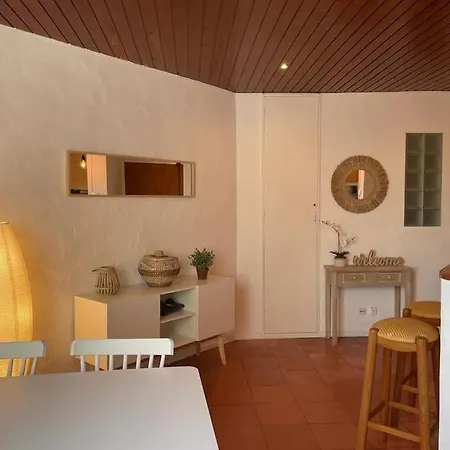Apartamento Muito Acolhedor Com Vista De Mar